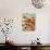 Vivid Poppies I-Carolee Vitaletti-Art Print displayed on a wall