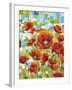 Vivid Poppies I-Carolee Vitaletti-Framed Art Print