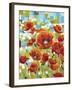 Vivid Poppies I-Carolee Vitaletti-Framed Art Print