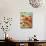 Vivid Poppies I-Carolee Vitaletti-Mounted Art Print displayed on a wall