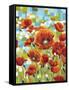 Vivid Poppies I-Carolee Vitaletti-Framed Stretched Canvas