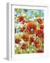 Vivid Poppies I-Carolee Vitaletti-Framed Art Print