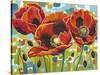 Vivid Poppies III-Carolee Vitaletti-Stretched Canvas