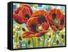 Vivid Poppies III-Carolee Vitaletti-Framed Stretched Canvas