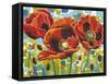 Vivid Poppies III-Carolee Vitaletti-Framed Stretched Canvas