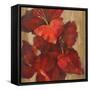 Vivid Red Gladiola on Gold Crop-Silvia Vassileva-Framed Stretched Canvas