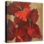 Vivid Red Gladiola on Gold Crop-Silvia Vassileva-Stretched Canvas