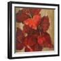 Vivid Red Gladiola on Gold Crop-Silvia Vassileva-Framed Art Print