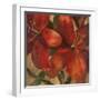 Vivid Red Lily on Gold Crop-Silvia Vassileva-Framed Art Print