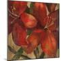 Vivid Red Lily on Gold Crop-Silvia Vassileva-Mounted Art Print
