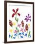 Vivid Whimsy II-Regina Moore-Framed Art Print