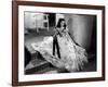 Vivien Leigh, Gone with the Wind, directed by Victor Fleming, 1939 (b/w photo)-null-Framed Photo