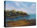 Stretched Canvas