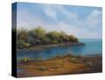 Stretched Canvas