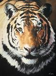 Tiger-Vivien Rhyan-Art Print