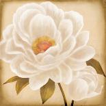 White Peonies I-Vivien Rhyan-Art Print