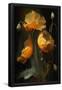 Essential Black