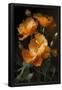 Essential Black