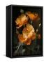 Canvas Black