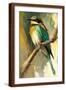 Brown Frame