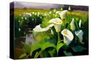 Stretched Canvas