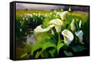 Canvas Black