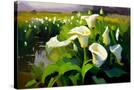 Stretched Canvas