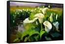 Canvas Black