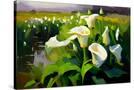 Stretched Canvas
