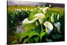 Stretched Canvas