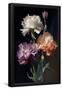 Essential Black
