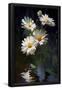 Essential Black