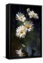 Canvas Black