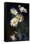 Canvas Black