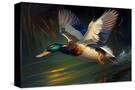 Stretched Canvas