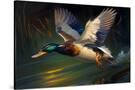 Stretched Canvas