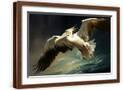 Brown Frame