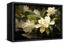 Canvas Black