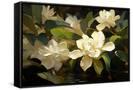 Canvas Black