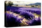 Stretched Canvas