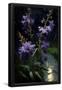 Essential Black