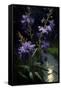 Canvas Black