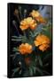 Canvas Black