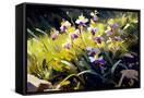 Canvas Black