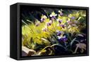 Canvas Black