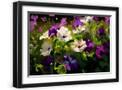 Black Frame