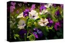 Stretched Canvas