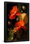 Essential Black