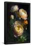 Essential Black