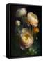 Canvas Black
